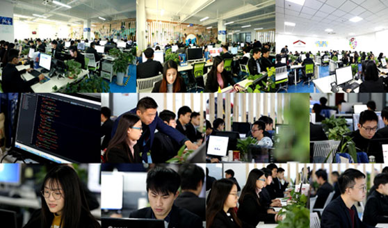 骨灰级互联网技术研发团队体系